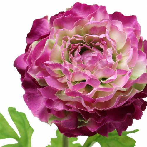 Produkt Ranuncul fioletowy sztuczny 48cm