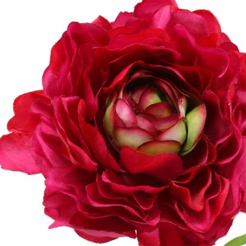 Floristik24 Ranunculus ciemnoróżowy sztuczny 51cm
