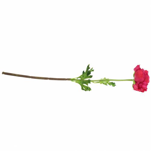 Floristik24 Ranunculus ciemnoróżowy sztuczny 51cm