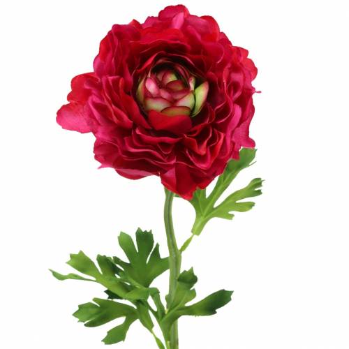 Floristik24 Ranunculus ciemnoróżowy sztuczny 51cm