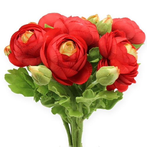 Floristik24 Ranunculus Bukiet Czerwony 30cm