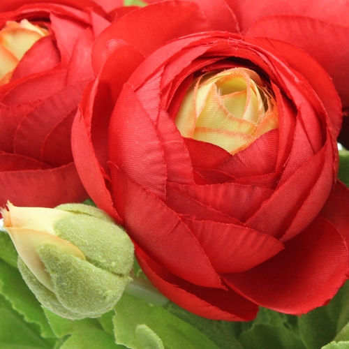 Floristik24 Ranunculus Bukiet Czerwony 30cm