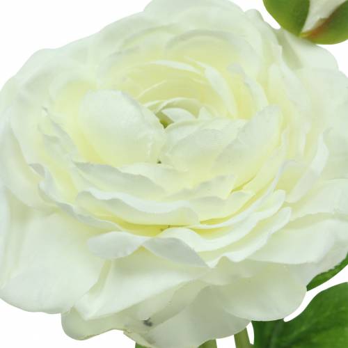 Produkt Sztuczny kwiat Ranunculus z kwiatem i pąkiem biały H34cm