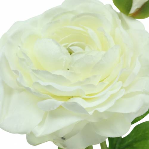 Floristik24 Sztuczny kwiat Ranunculus z kwiatem i pąkiem biały H34cm