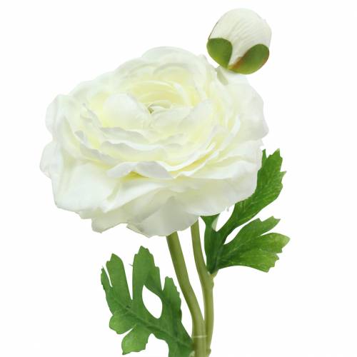 Floristik24 Sztuczny kwiat Ranunculus z kwiatem i pąkiem biały H34cm