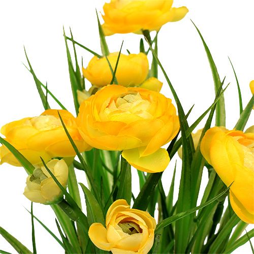 Floristik24 Bukiet Ranunculus z trawą 35cm Żółty