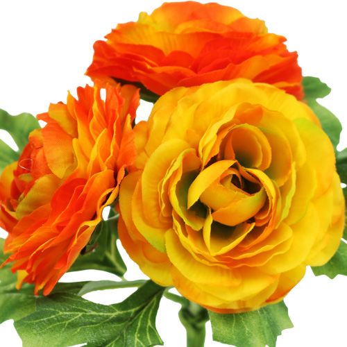 Floristik24 Ranunculus Bukiet Pomarańczowy L18cm