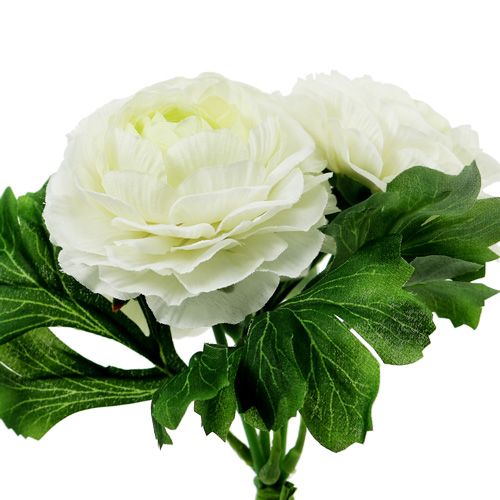 Produkt Bukiet Ranunculus Biały L18cm