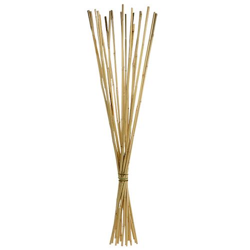 Floristik24 Łodygi rattanowe 100cm naturalne 20 szt
