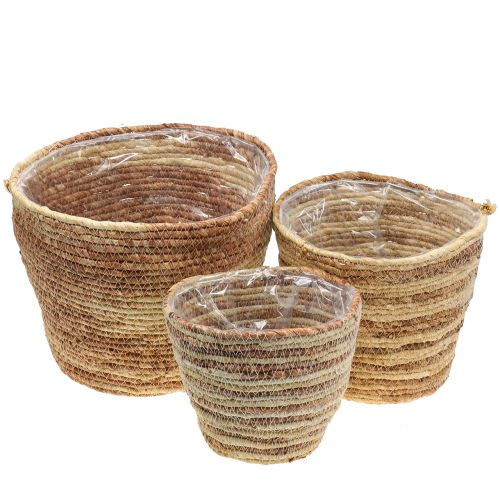 Kosz na rośliny rattan naturalny/brązowy Ø26/22/16cm 3szt