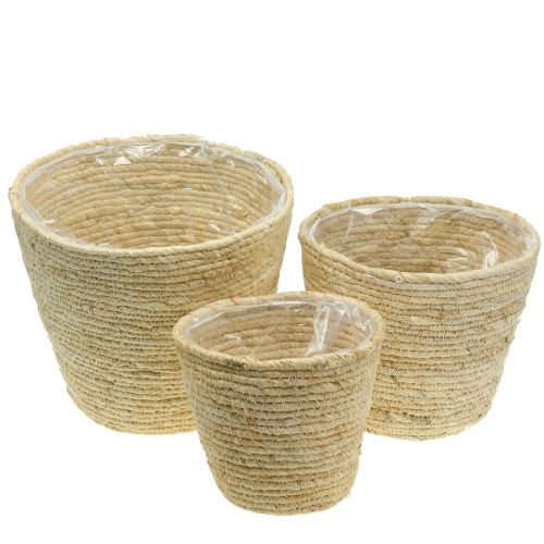 Floristik24 Kosz na rośliny rattan naturalny Ø26/22/16cm 3szt