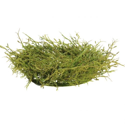 Floristik24 Wianek wiosenny z mchu zielony Ø30cm