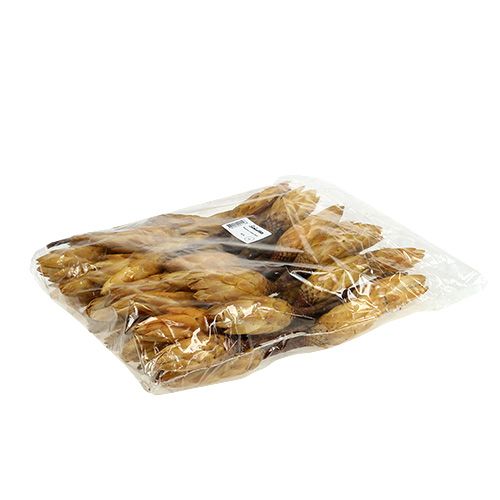 Produkt Repens krem mały 50 szt