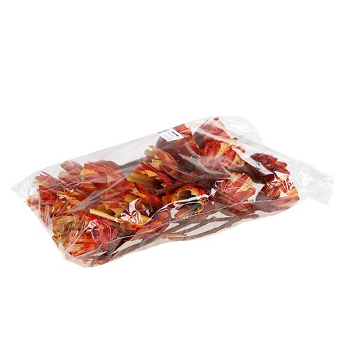 Produkt Kubek Repens Czerwony 25 szt
