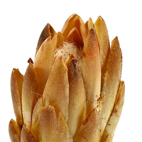 Produkt Repens krem 25 szt
