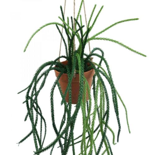 Produkt Rhipsalis sztuczny koralowy kosz wiszący na kaktusy wys. 87 cm