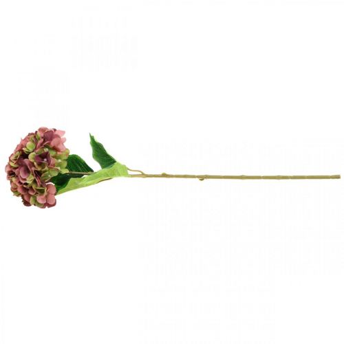 Floristik24 Hortensja sztuczny róż, bordowy sztuczny kwiat duży 80cm