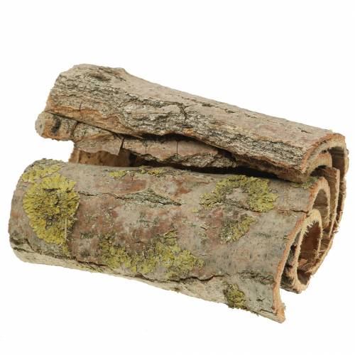 Floristik24 Kora drzewa do rękodzieła natura 13cm 1kg