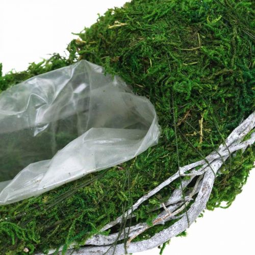 Floristik24 Wieniec z mchu Pierścień do sadzenia z winoroślą i mchem zielony, biały Ø35cm