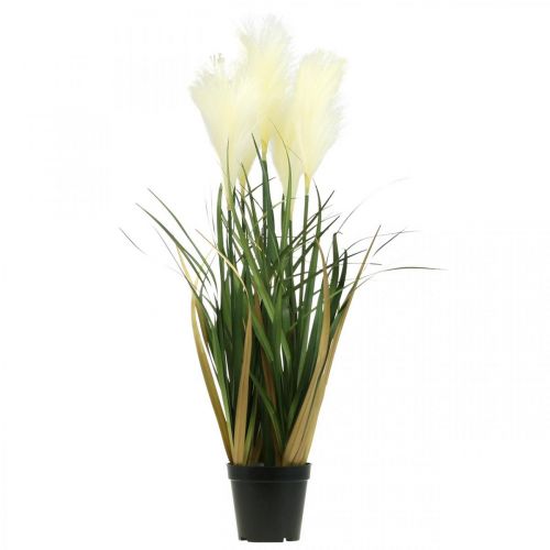 Produkt Trawa trzcinowa w doniczce Sztuczna roślina doniczkowa Kremowa, Zielona 79cm
