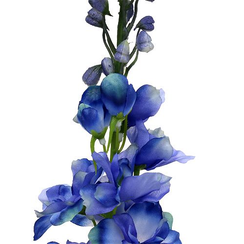 Floristik24 Delphinium Blue 78cm 3szt.
