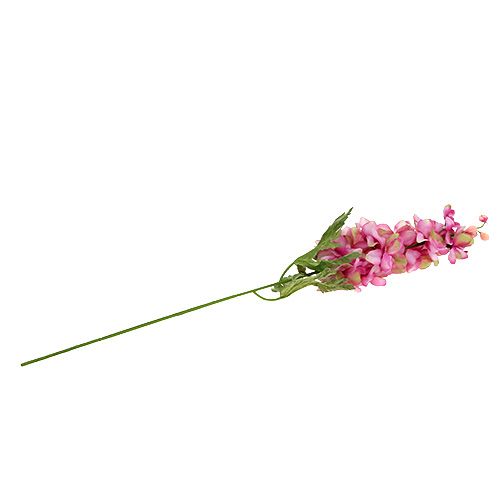 Floristik24 Delphinium Pink 60cm