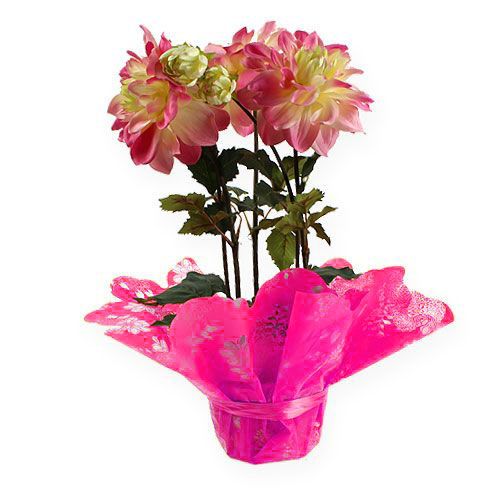 Floristik24 Mankiety Rondella Ø58cm Różowe 50szt.