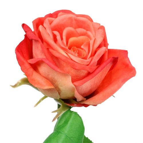 Produkt Róża sztuczny kwiat łosoś 67,5cm