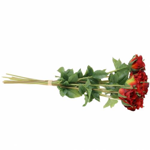 Floristik24 Czerwona róża 42 cm 12 sztuk