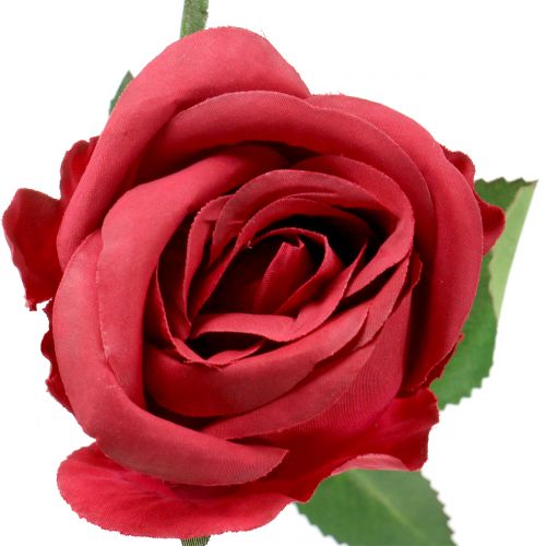 Rose Red 44cm 6szt
