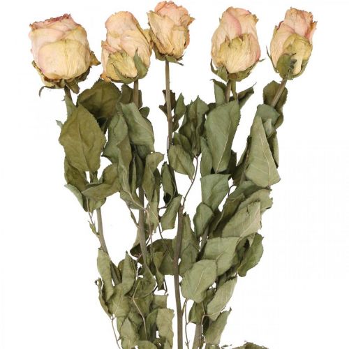 Floristik24 Róże dekoracyjne, kwiaty suszone, róże suszone, walentynki, florystyka pogrzebowa, róże rustykalne żółto-różowe L48cm 5 sztuk