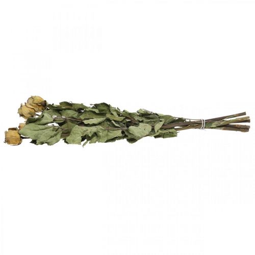Floristik24 Suszony kwiat róży, Walentynki, sucha florystyka, rustykalne róże ozdobne żółto-fioletowe L45-50cm 5 sztuk