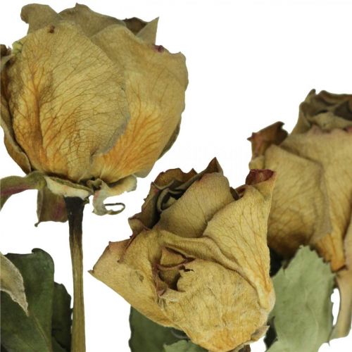 Floristik24 Suszony kwiat róży, Walentynki, sucha florystyka, rustykalne róże ozdobne żółto-fioletowe L45-50cm 5 sztuk