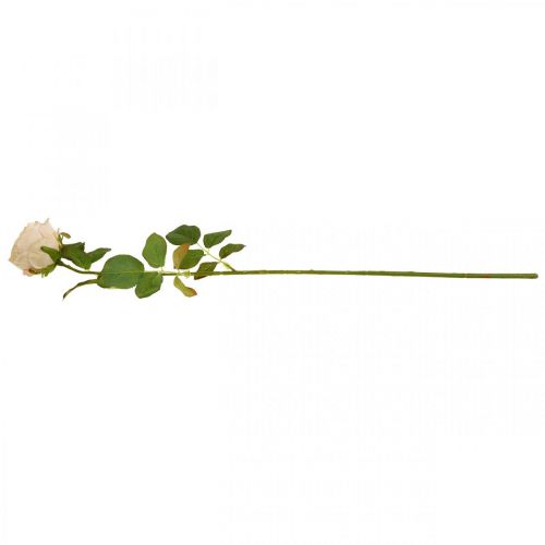 Produkt Różany kolor kremowy, kwiat jedwabiu, sztuczna róża L74cm Ø7cm