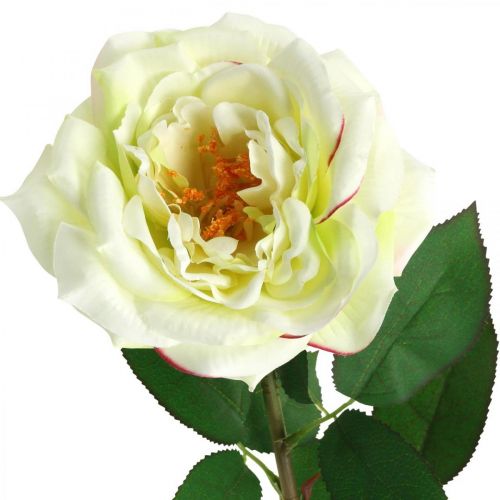 Produkt Sztuczna róża, róża dekoracyjna, kwiat jedwabiu kremowy biały, zielony dł.72cm Ø12cm