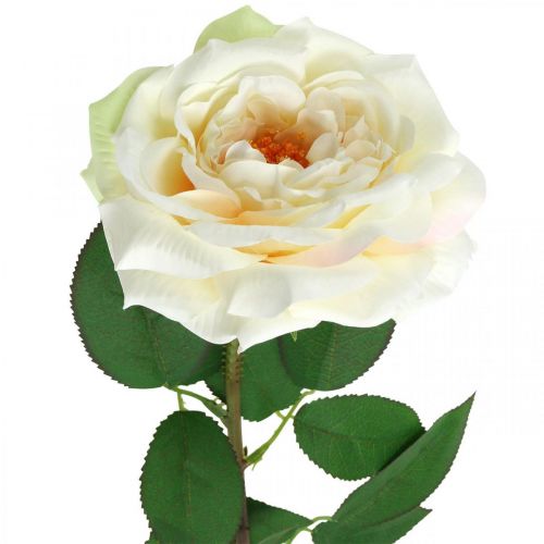 Kremowo-biała róża morelowa, kwiat jedwabiu, sztuczne róże dł.72cm Ø12cm
