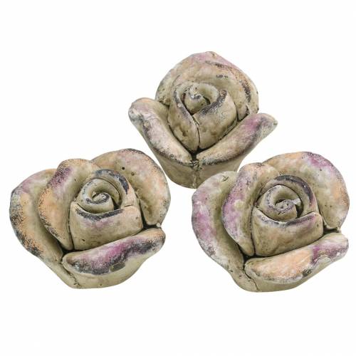 Floristik24 Concrete Rose Grey, Purple Ø7,7 H5,5cm 3szt.