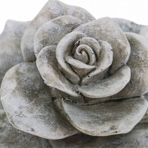 Floristik24 Deco Rose Grey Ø9,3cm