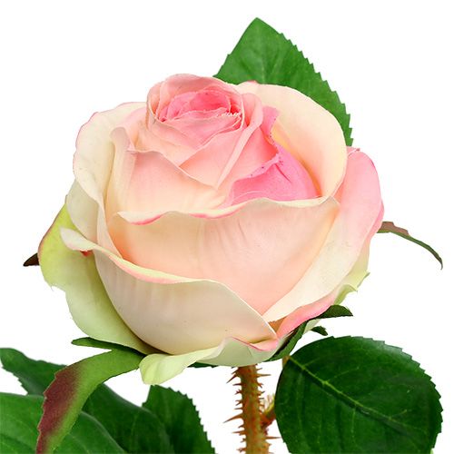 Floristik24 Sztuczna róża kremowo-różowa Ø9cm L45cm 1 szt