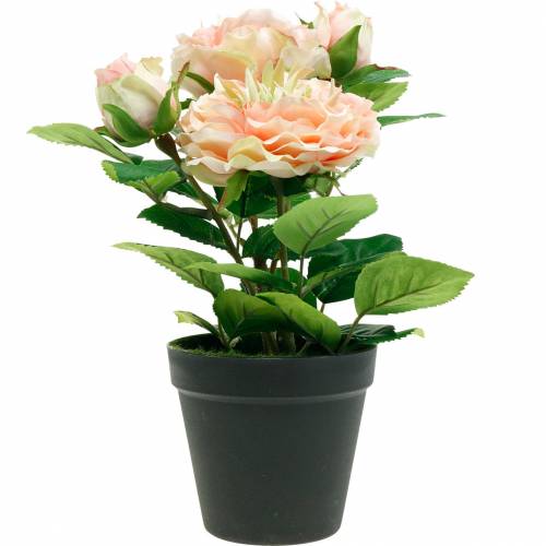 Produkt Dekoracyjna róża w doniczce, romantyczne jedwabne kwiaty, różowa piwonia