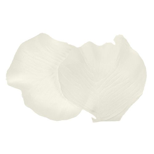 Floristik24 Płatki róży krem 4,5cm 144szt