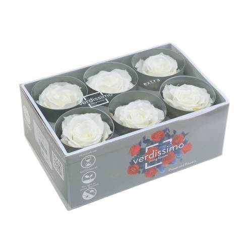 Produkt Róże Nieskończoność Duże Ø5,5-6cm Białe 6 szt