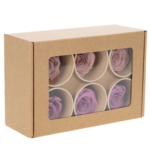 Produkt Zakonserwowane główki róż, romantyczny prezent, trwałe róże na specjalne okazje, 5 cm, 6 sztuk