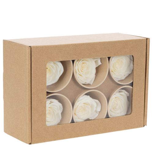 Produkt Zakonserwowane główki róż, trwała dekoracja stołu na romantyczną atmosferę, dekoracja ślubna, 5 cm, 6 sztuk