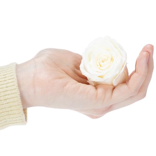 Produkt Zakonserwowane główki róż, trwała dekoracja stołu na romantyczną atmosferę, dekoracja ślubna, 5 cm, 6 sztuk