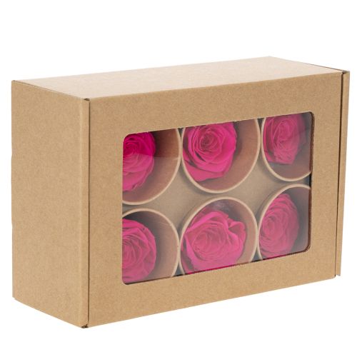 Produkt Dekoracje z zakonserwowanych róż, prawdziwe kwiaty do dekoracji stołu, wyjątkowe i zrównoważone kwiaty, 5 cm, 6 sztuk