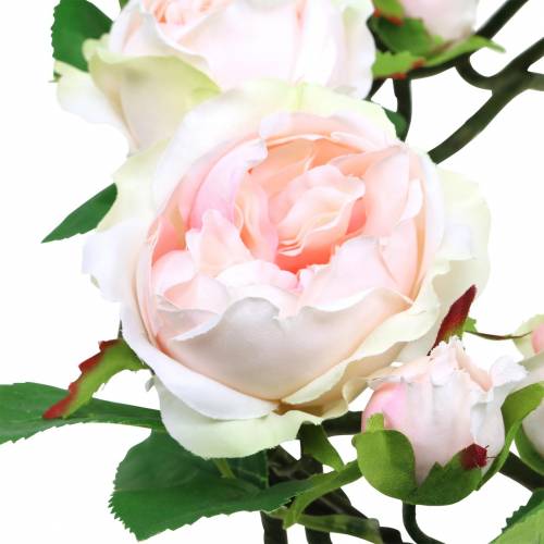 Produkt Różaniec różowy Ø35cm