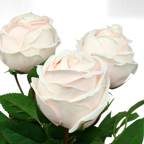 Floristik24 Bukiet róż delikatny róż 65cm 4 szt