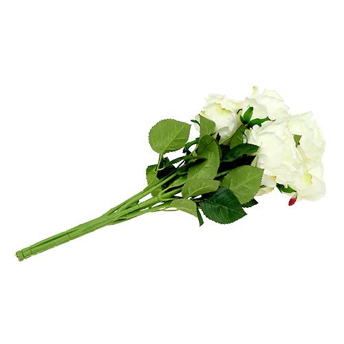 Produkt Bukiet róż biały, kremowy 55cm
