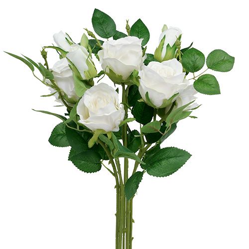 Floristik24 Bukiet róż biały L46cm